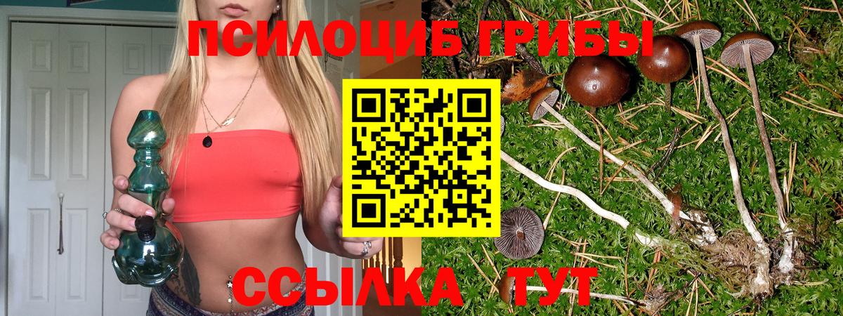 Галлюциногенные грибы Cubensis  Вход с VPN  Губкин  Псилоцибиновые грибы мицелий 