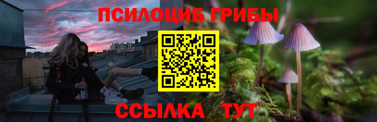 Псилоцибиновые грибы Magic Shrooms Губкин